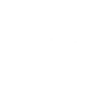 Partners_Sea_Trees