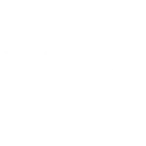 Partners_Visa