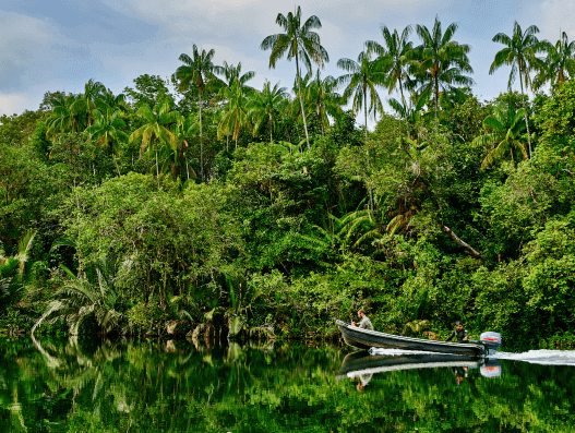 Protecting the Southern Cardamom Watershed in Cambodia